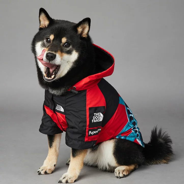 Dog Raincoat｜Liberty