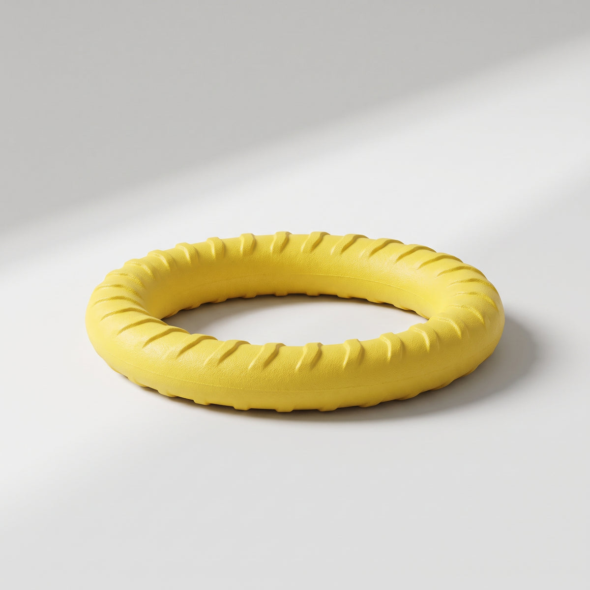 Dog Ring Toy, studio photo on a light grey background