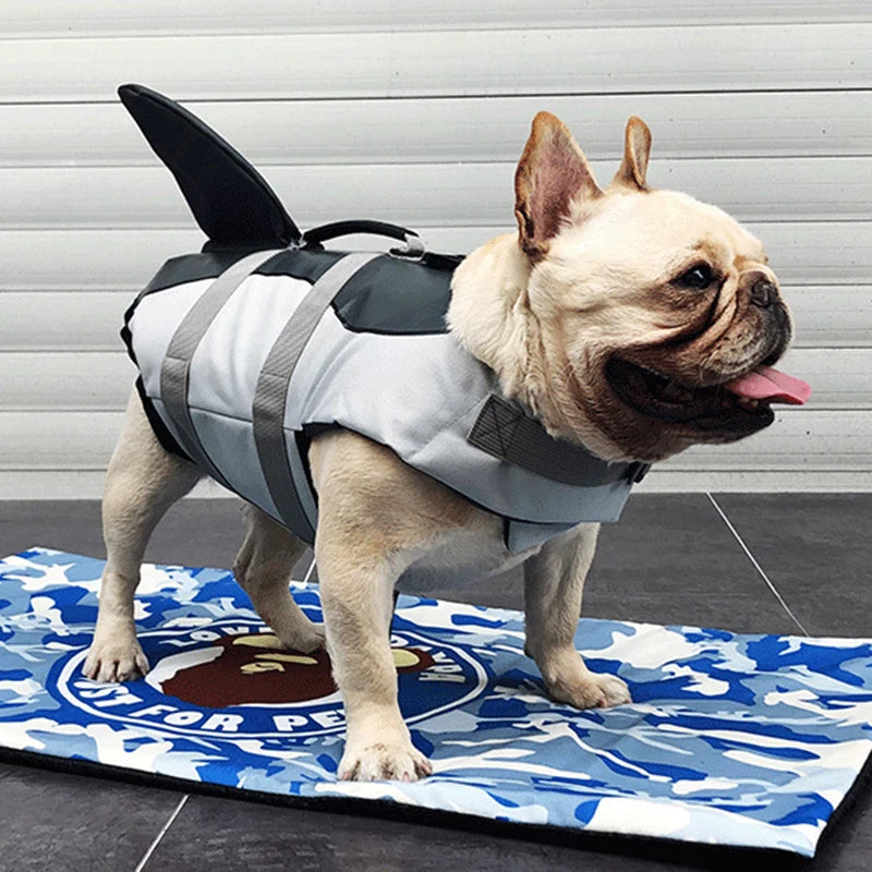Cool, friendly, and funny shark design