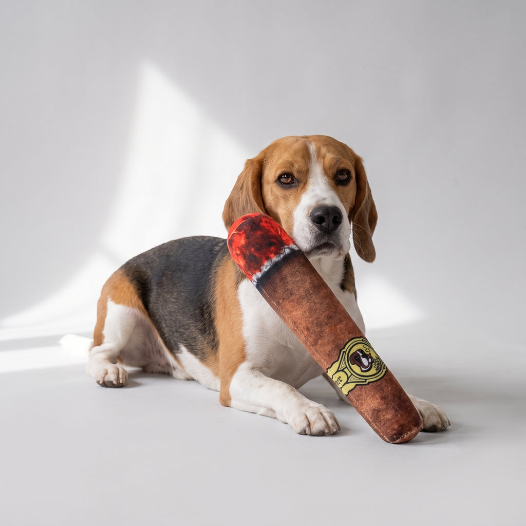 Dog Smoke Cigar Toy with a beagle, studio photo