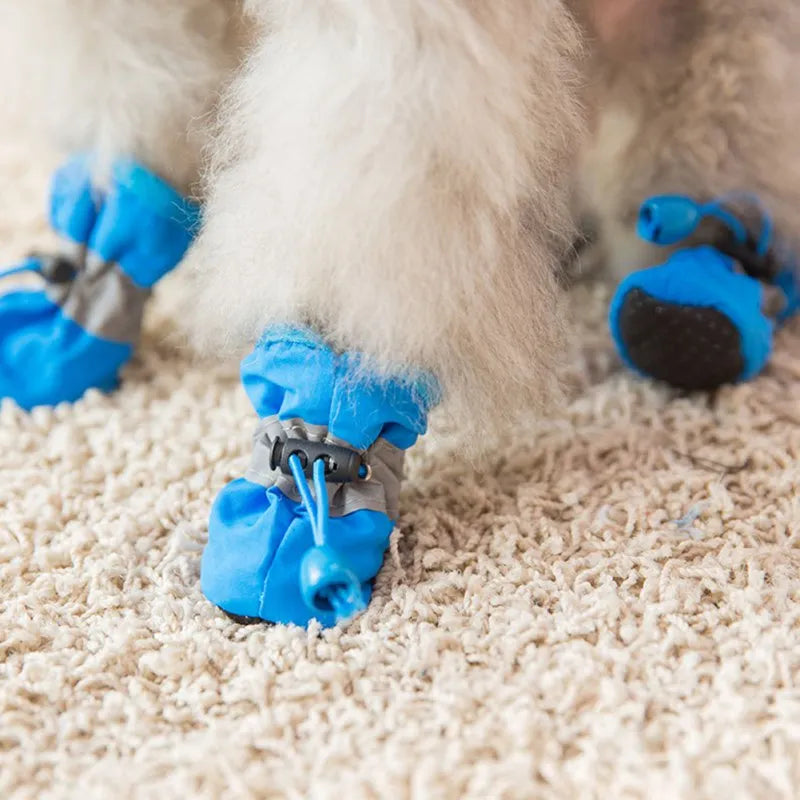 Dog Snow Shoes