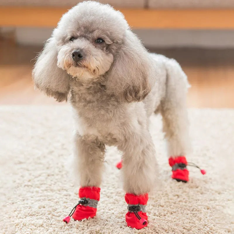 Dog Snow Shoes