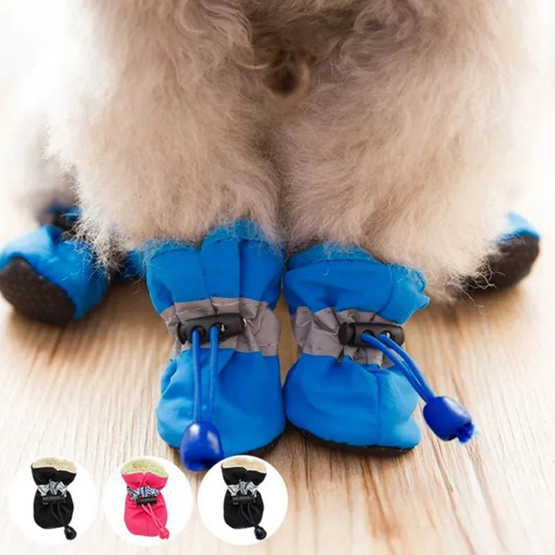 Dog Snow Shoes