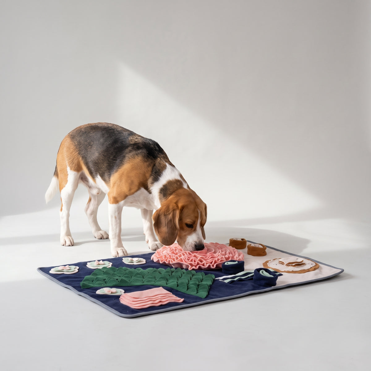Dog Snuffle Mat in Flower and Food Shapes with a beagle, studio photo