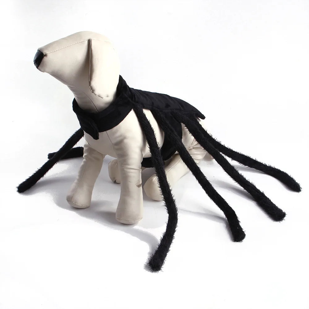 Dog Spider Costume