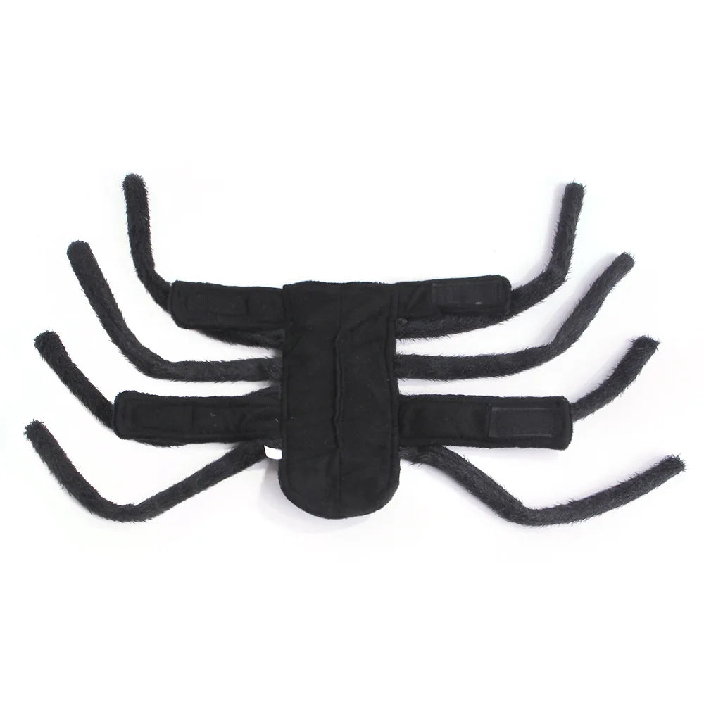 Dog Spider Costume