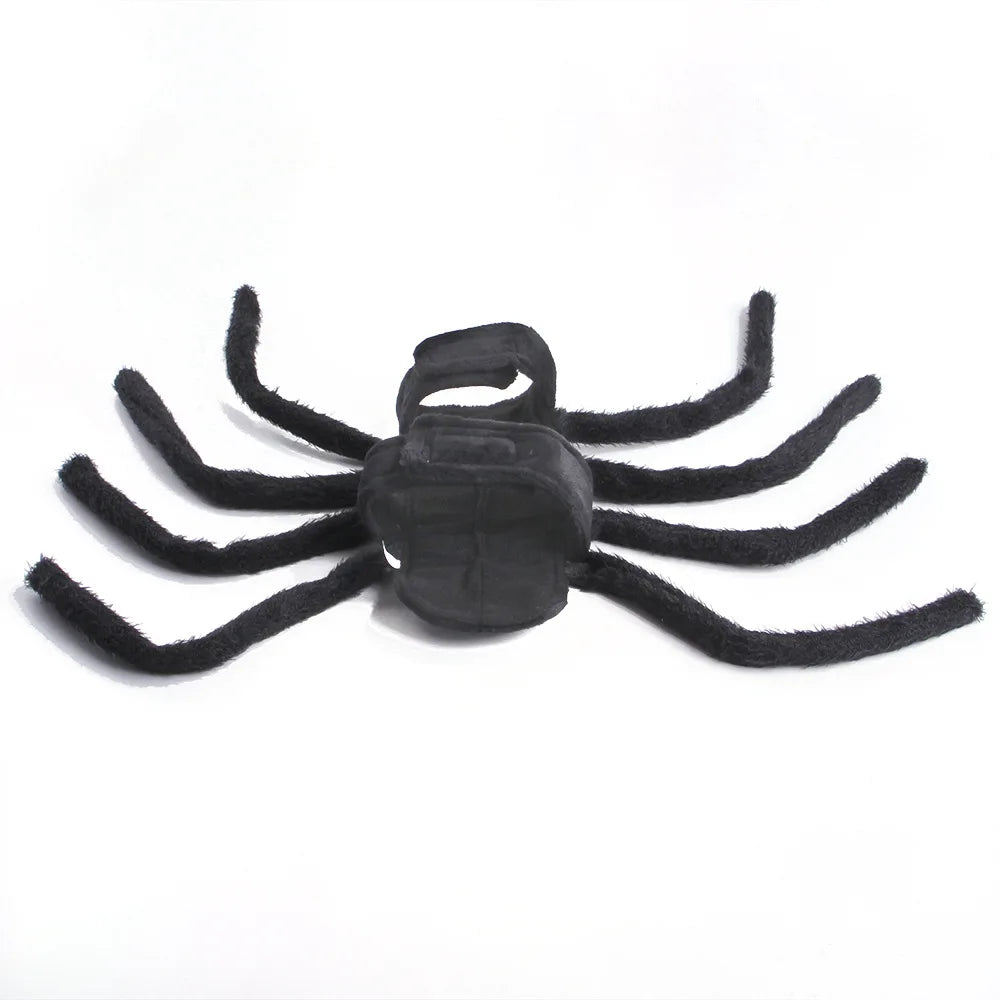 Dog Spider Costume