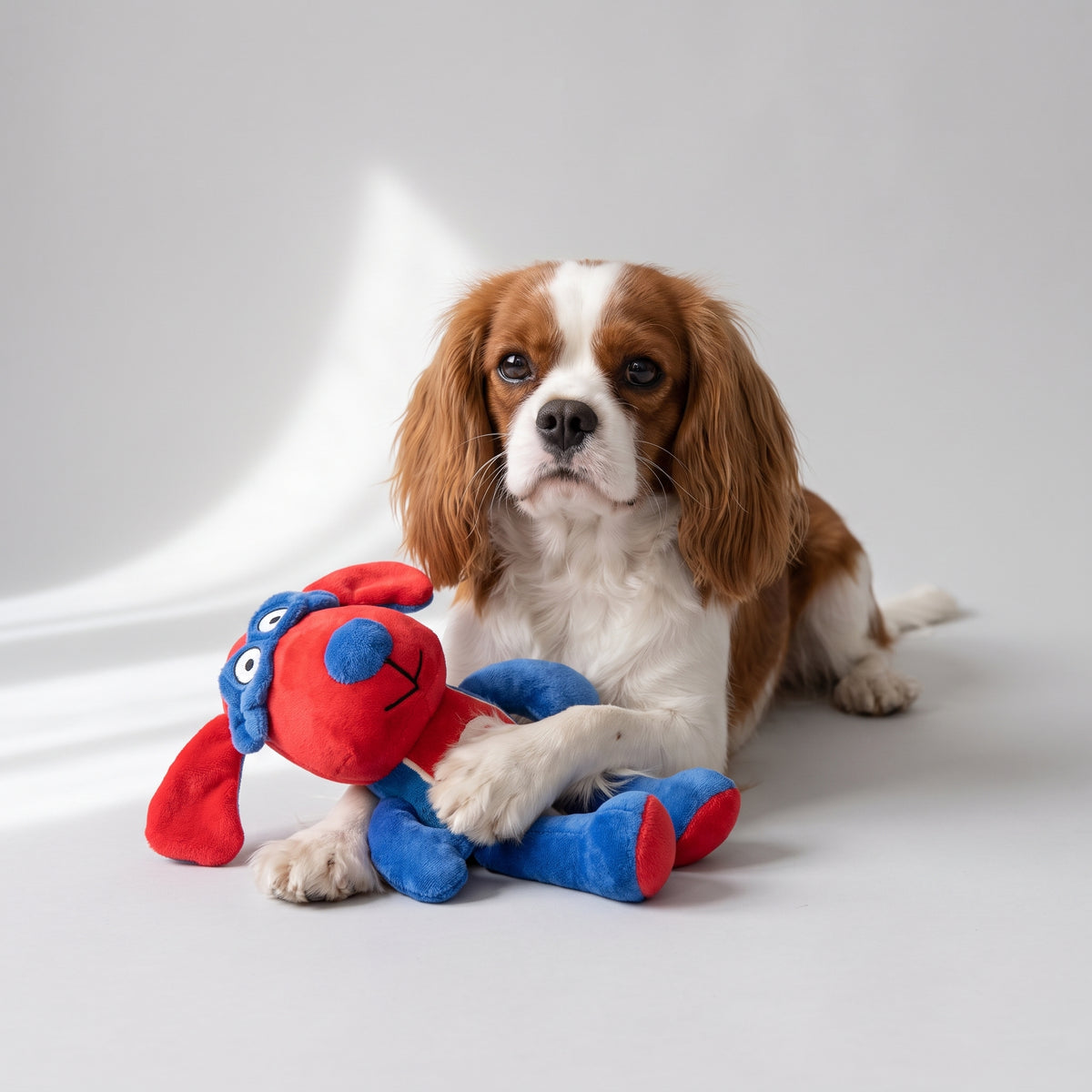 Squeaky Dog Toy in Elephant or Hippo Design with a Cavalier King Charles, studio photo