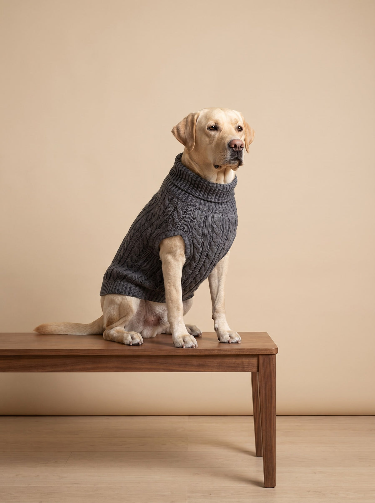 Dog Sweater