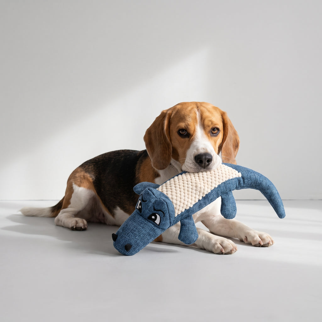 Dog Toy Alligator with a beagle, studio photo