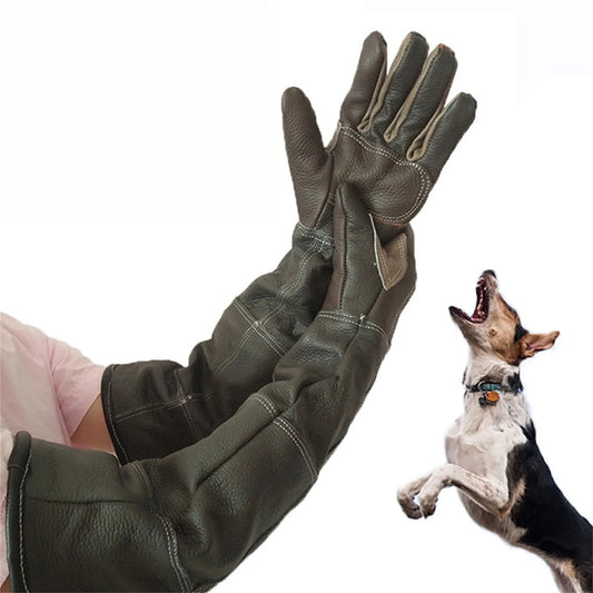 Dog Training Gloves - 1 pair / United States