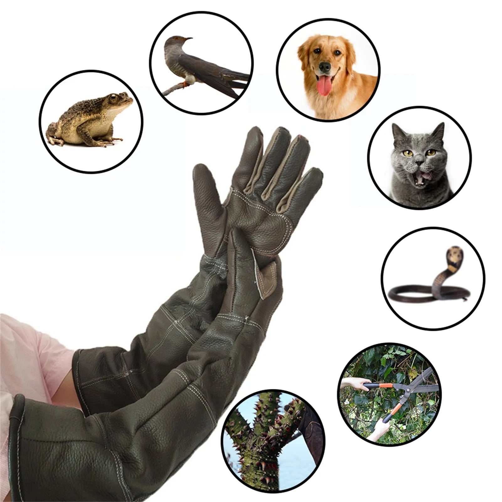 Dog Training Gloves - 1 pair / United States