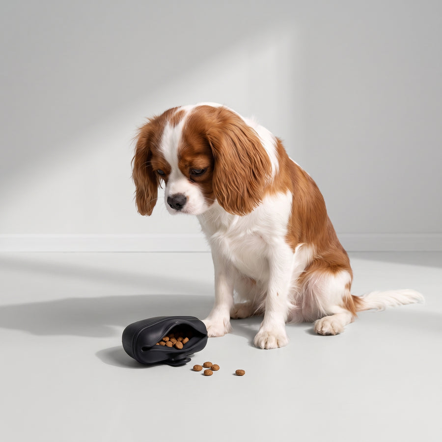 Safe and Healthy: Made of food-grade memory silicone, these treat bags are non-toxic and harmless to your beloved pets.