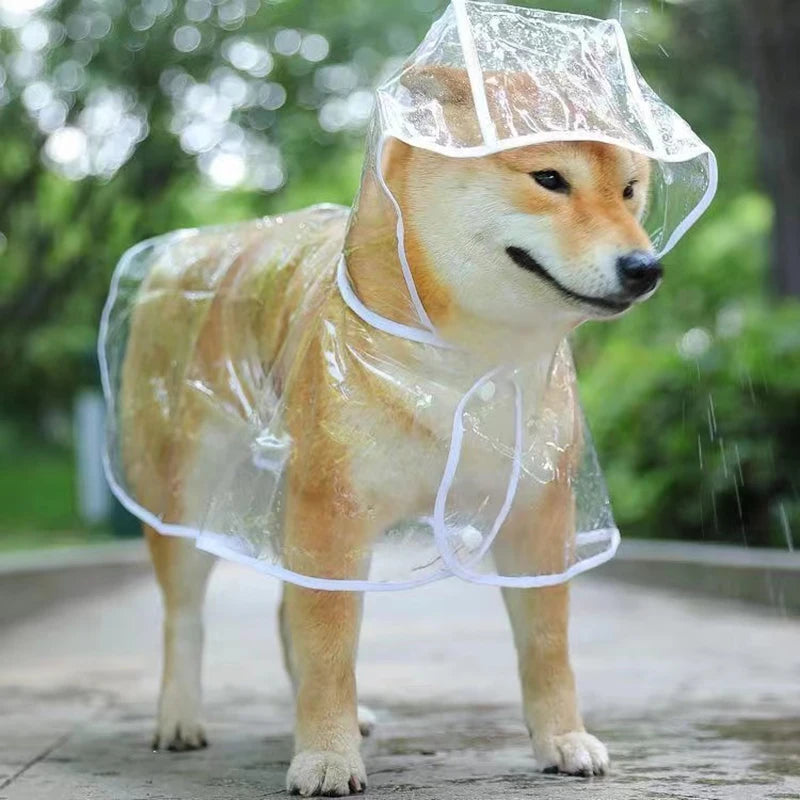 Available in various sizes to ensure the perfect fit for your dog's unique measurements