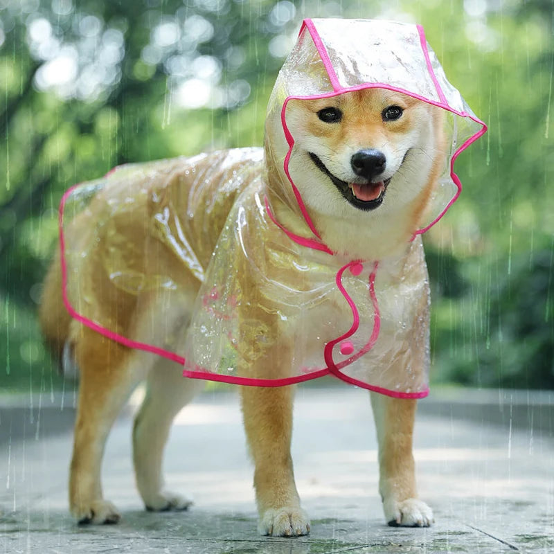 Transparent design allows for easy visibility of your dog's adorable outfit underneath