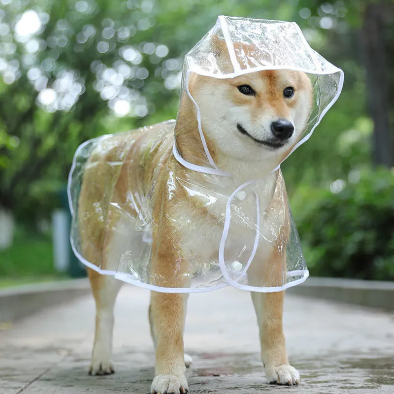 Dog Transparent Raincoat