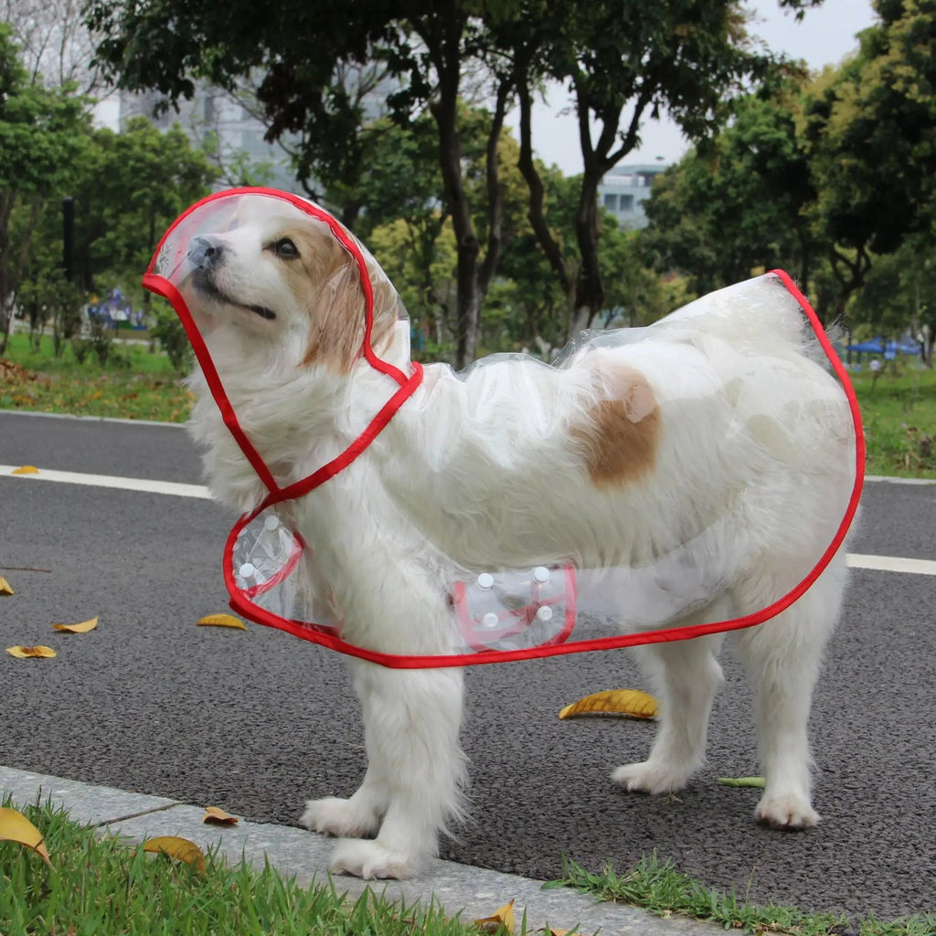 Dog Transparent Raincoat in Red