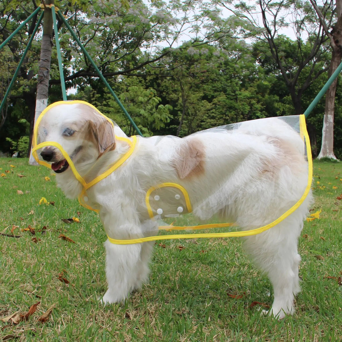 Dog Transparent Raincoat in Yellow