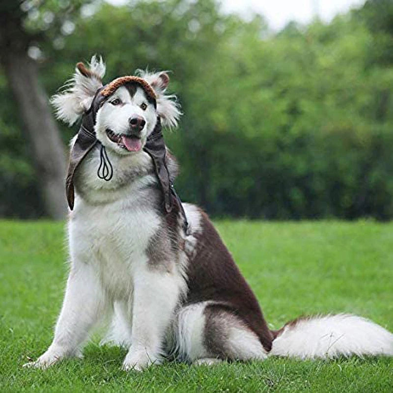 Dog Trapper Hat
