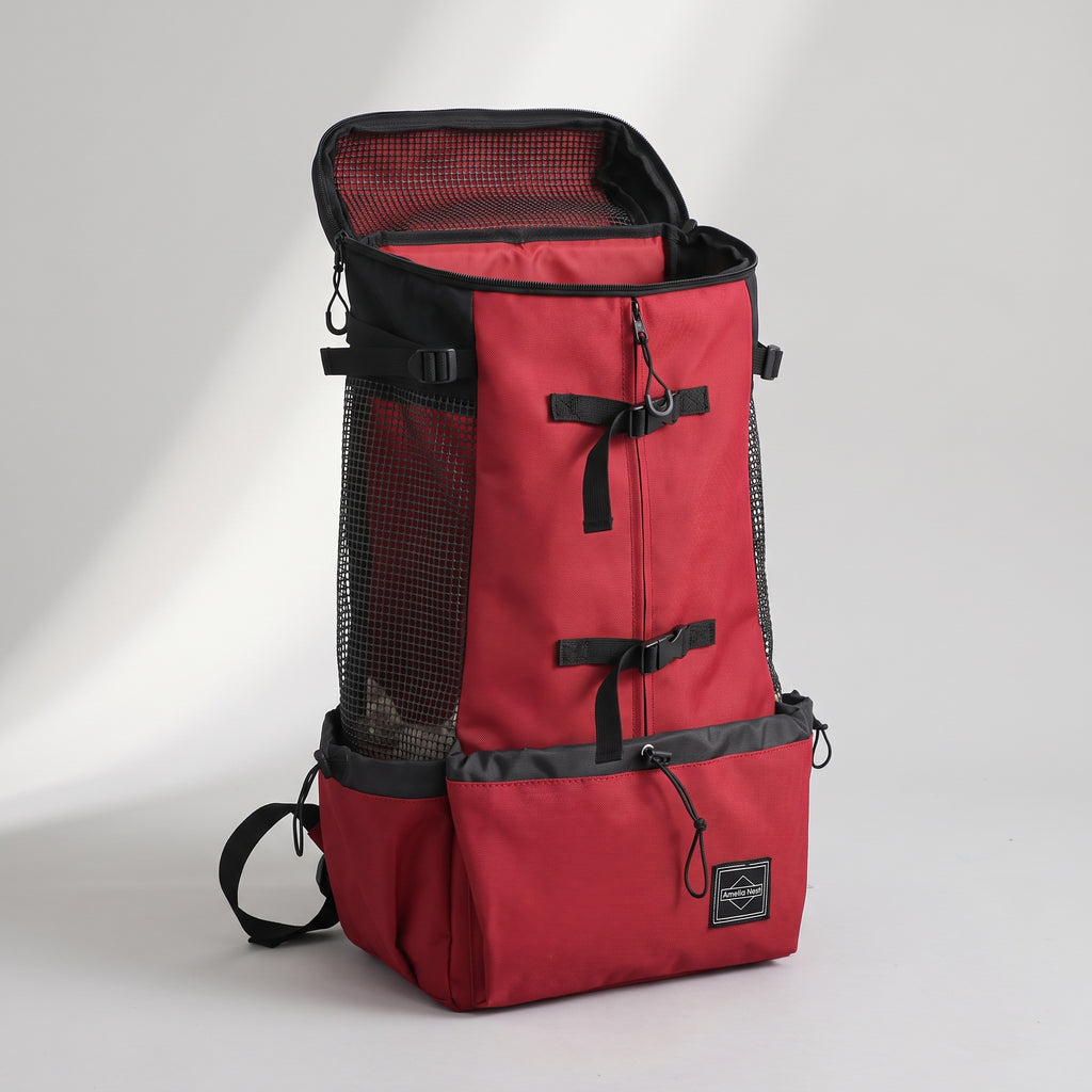 Dog Travel Backpack, studio photo on a light grey background