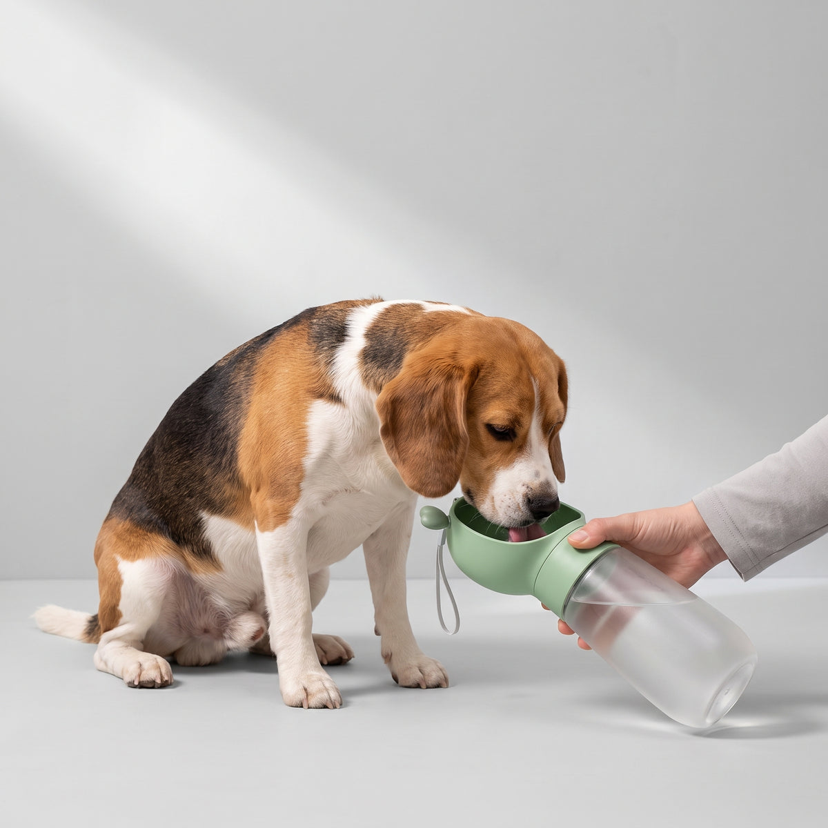 Dog Travel Water Bottle with a beagle, studio photo