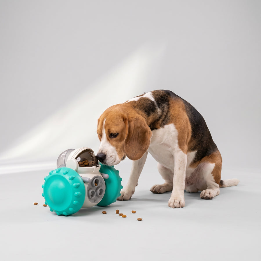 Product: Dog Food Dispenser