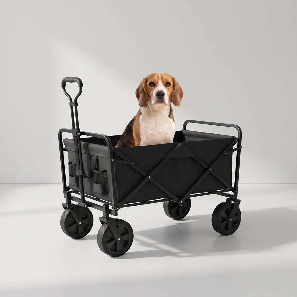 Dog Wagon with a beagle, studio photo