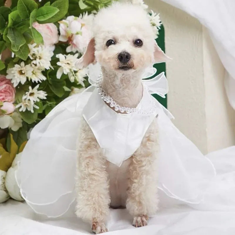Dog Wedding Dress