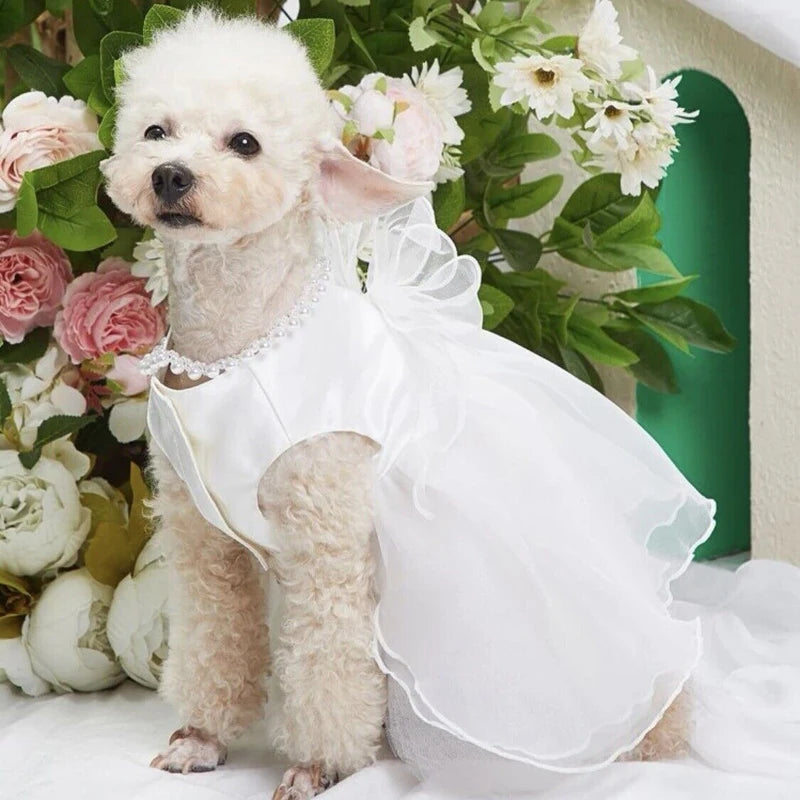 Dog Wedding Dress