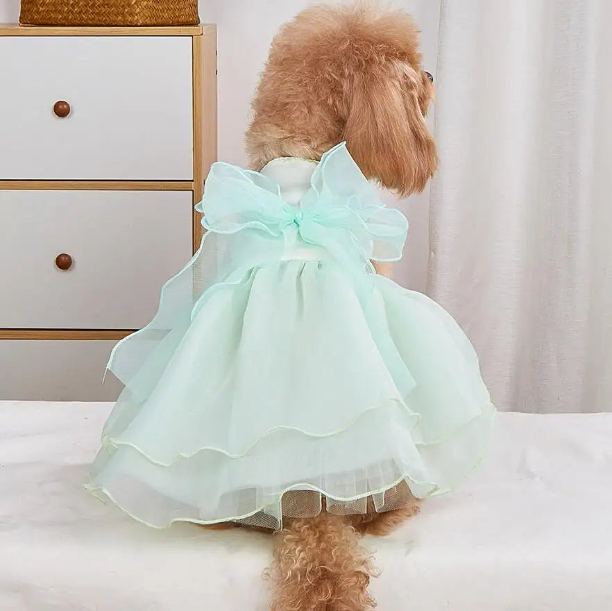 Dog Wedding Dress