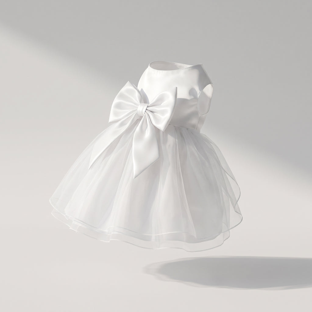 Dog Wedding Dress, studio photo on a light grey background