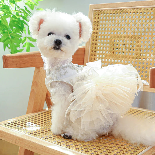 Dog White Dress