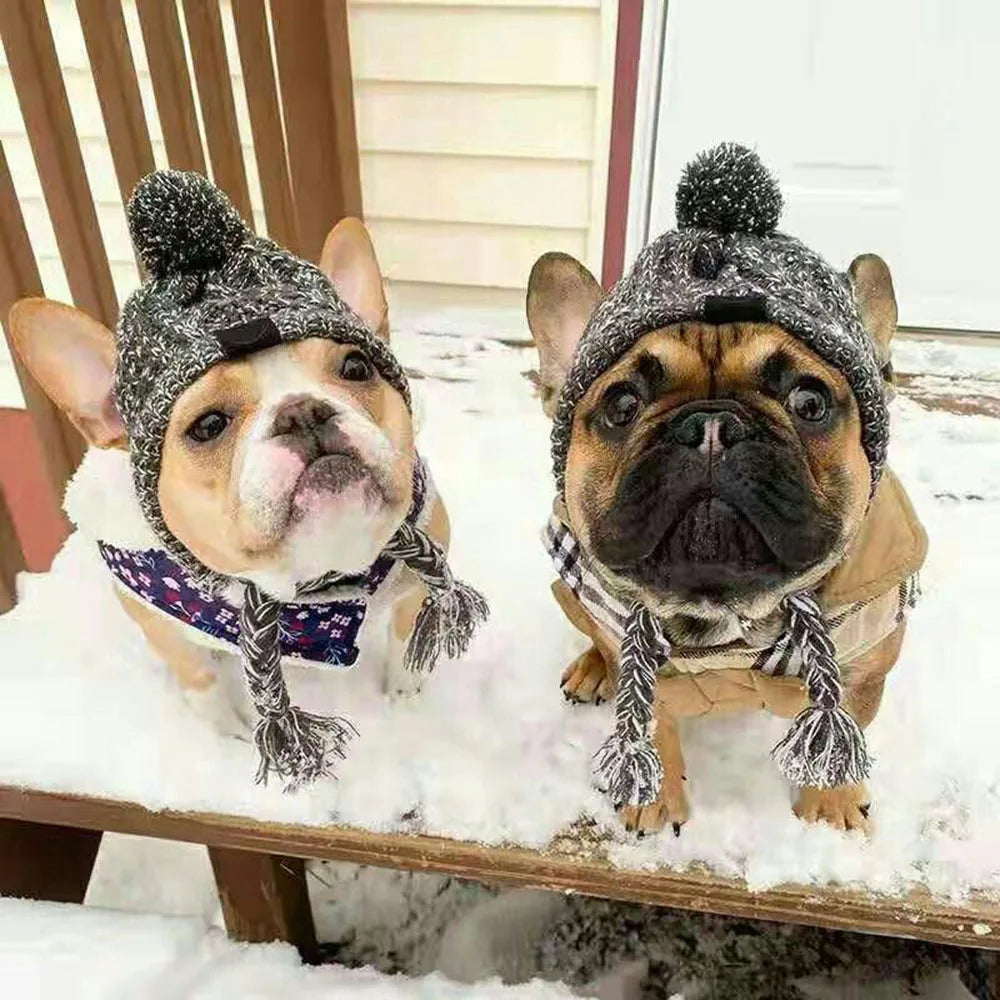 Dog winter Hats with Ear Holes