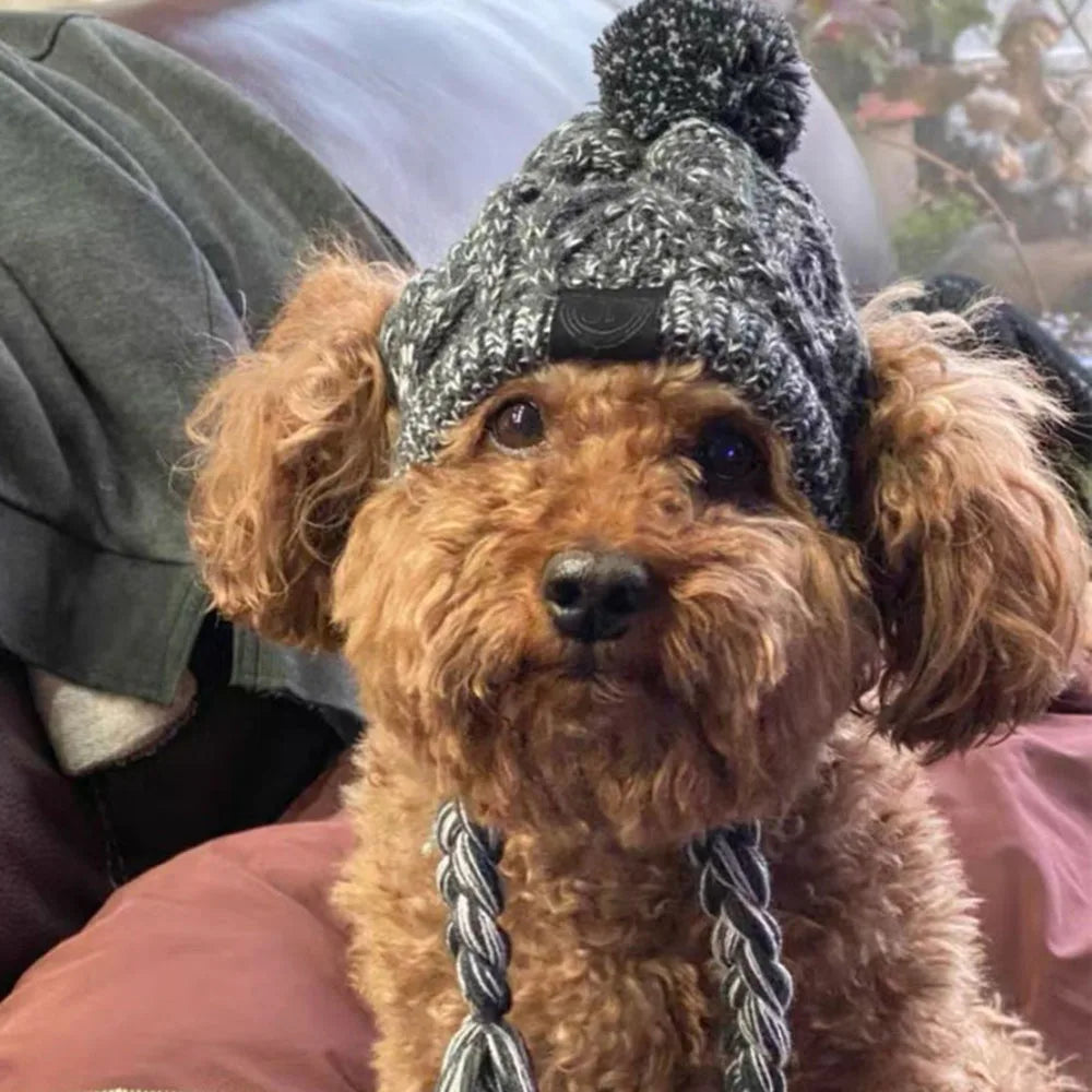 Dog winter Hats with Ear Holes