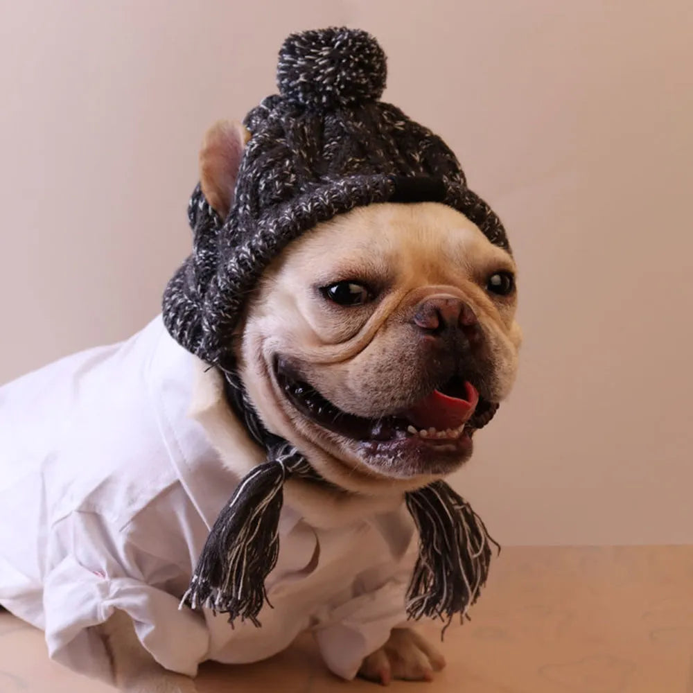 Dog winter Hats with Ear Holes