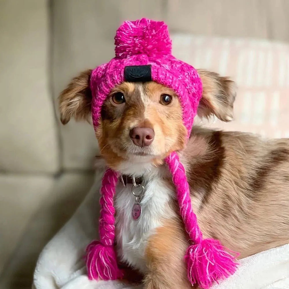 Dog winter Hats with Ear Holes