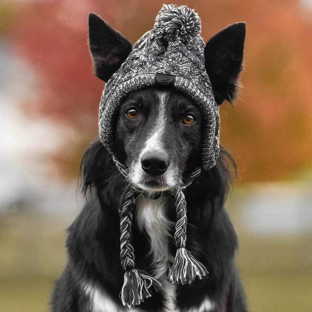 Dog winter Hats with Ear Holes