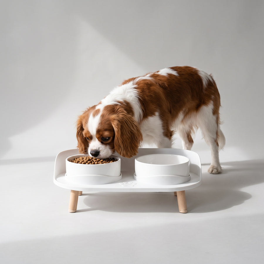 Separate pet bowl design, to minimize spatters and mess during mealtime.