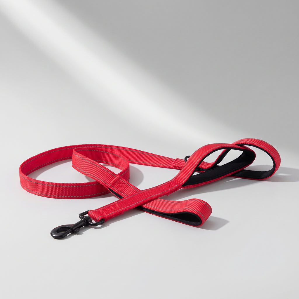 Double Handle Dog Leash, studio photo on a light grey background