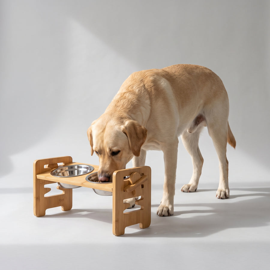 Adjustable Heights: Our elevated dog bowl stand features a unique double N-shape design, allowing you to adjust the height to suit your pet's needs. Whether your furry friend is a small puppy or a medium-sized cat, these bowls can grow with them in different stages of life.