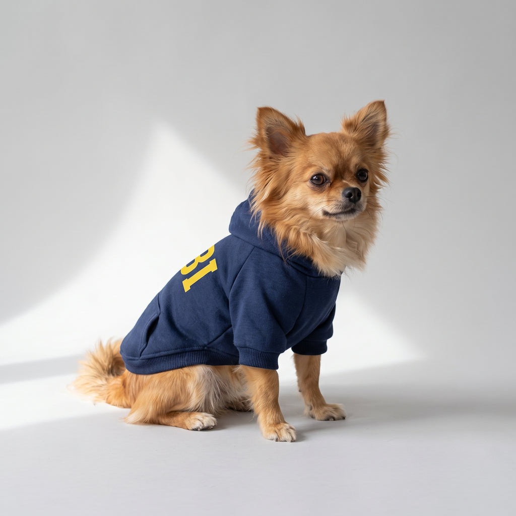 Letter Print Dog Hoodie for Small Dogs with a chihuahua, studio photo
