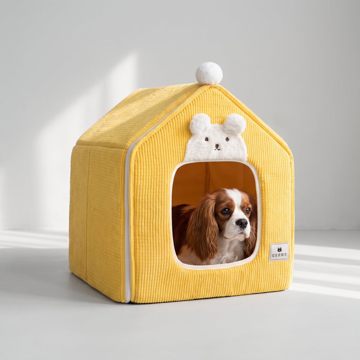 Foldable Dog House with a Cavalier King Charles, studio photo