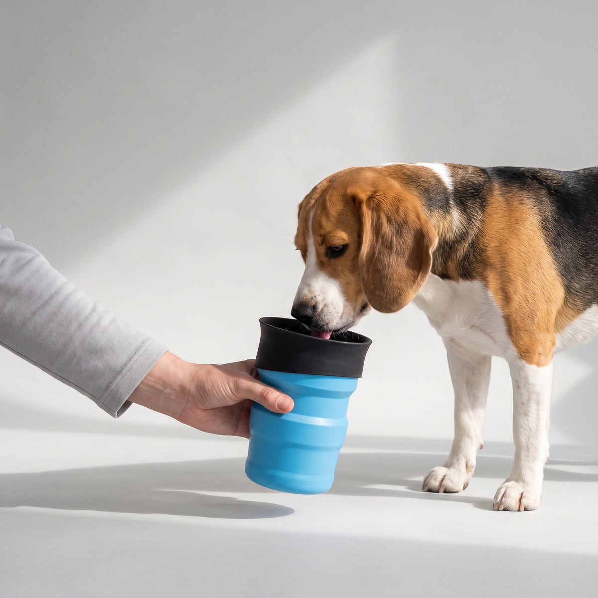 Foldable Dog Water Bottle with a beagle, studio photo