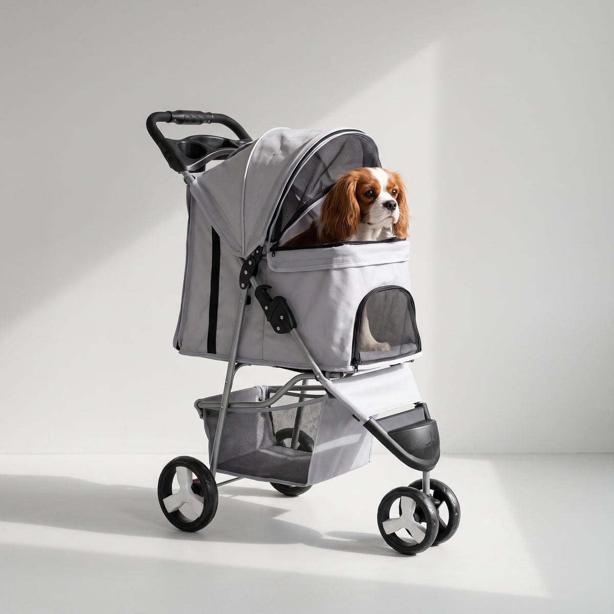 Folding Dog Stroller with a Cavalier King Charles, studio photo