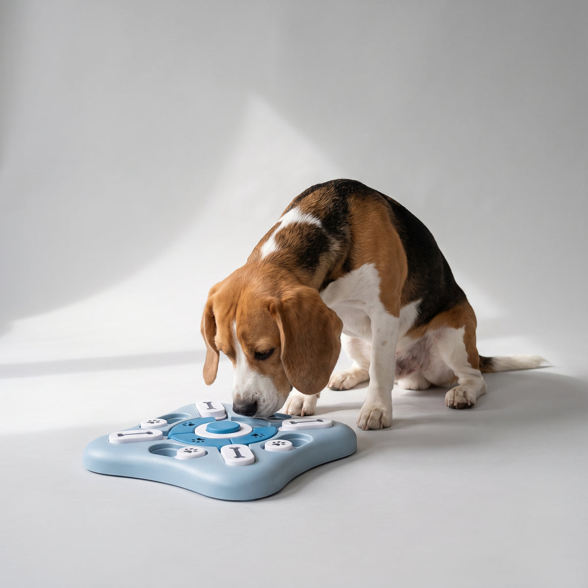 Food Puzzle Toys For Dogs with a beagle, studio photo