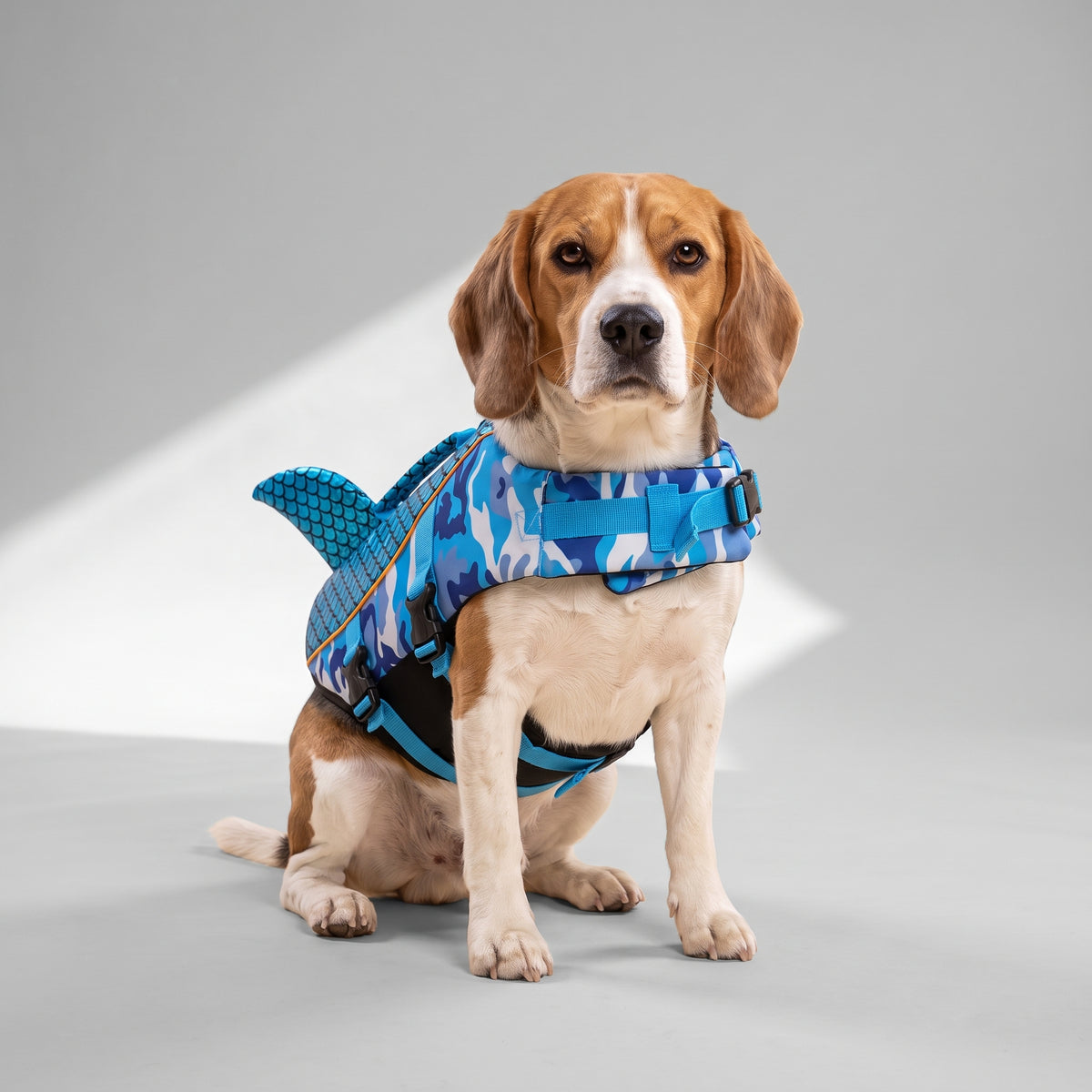 French Bulldog Life Jacket with a beagle, studio photo