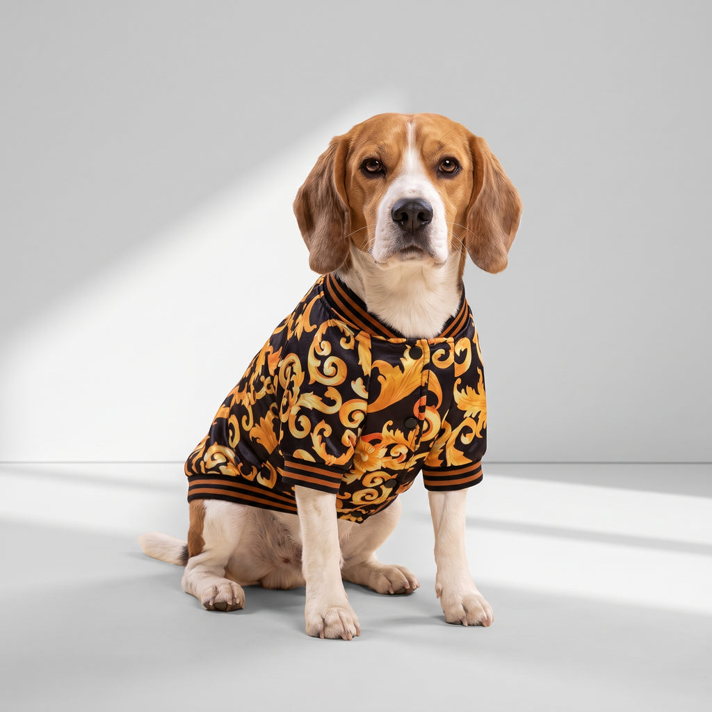 Gold Dog Jacket｜Caesar® with a beagle, studio photo