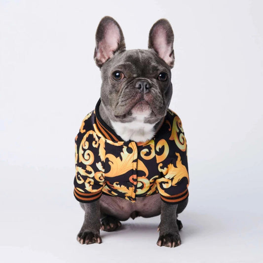 Gold Dog Jacket｜Caesar®