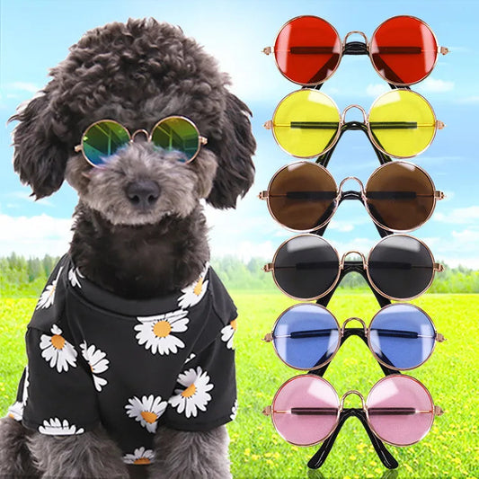 Handsome Dog Glasses