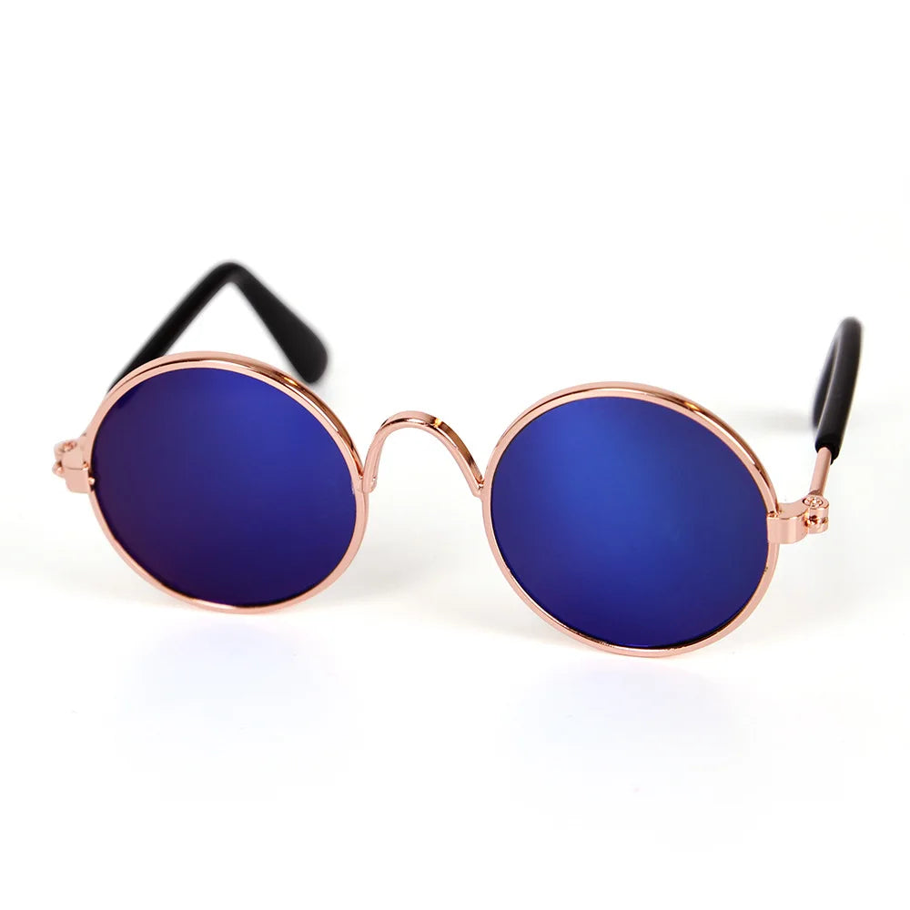 Handsome Dog Glasses in Blue